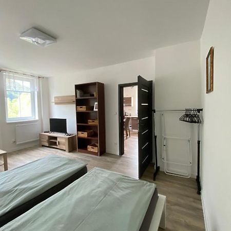 Apartmany U Viaduktu 46 Ústí nad Labem Екстериор снимка