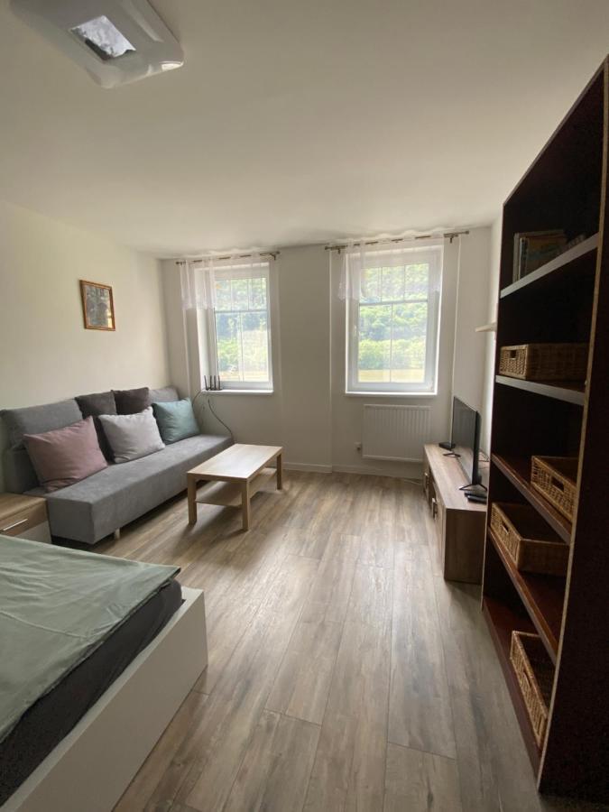 Apartmany U Viaduktu 46 Ústí nad Labem Екстериор снимка